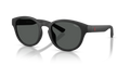 Polo PH4233U  Sunglasses