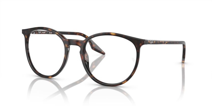 Ray-Ban RB2204F  Sunglasses