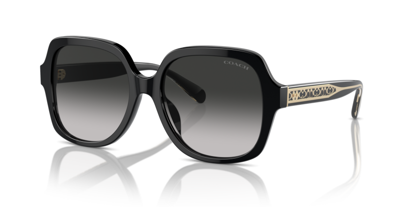 Coach HC8395U Cr614 Sunglasses