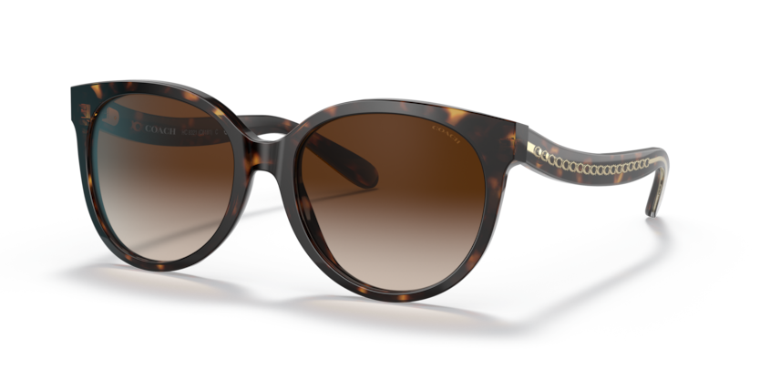 Coach HC8321 C6181 Sunglasses
