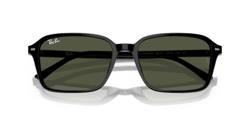Ray-Ban RB2231 Raimond Sunglasses