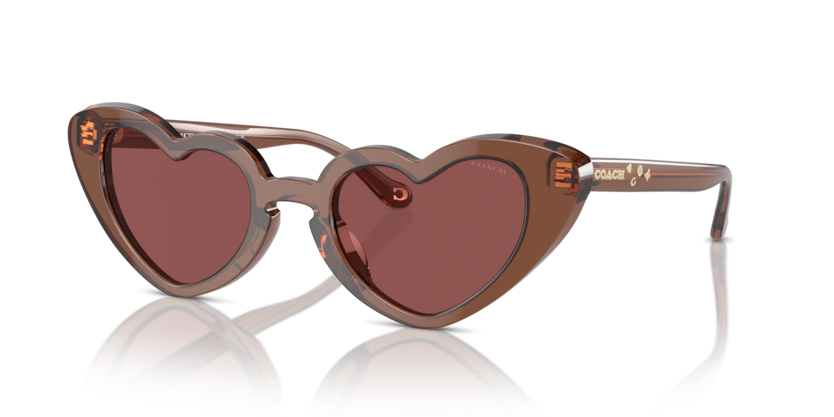 Coach HC8394U Cr613 Sunglasses