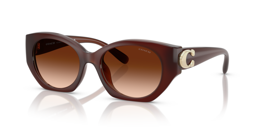 Coach HC8407U Cw194 Sunglasses
