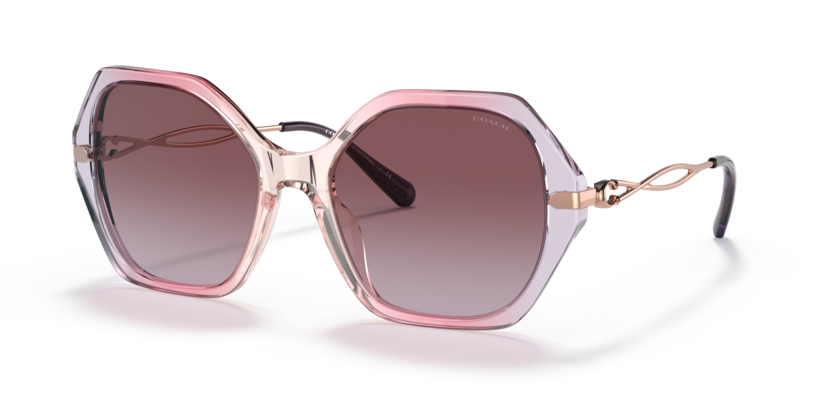 Coach HC8315 C3445 Sunglasses
