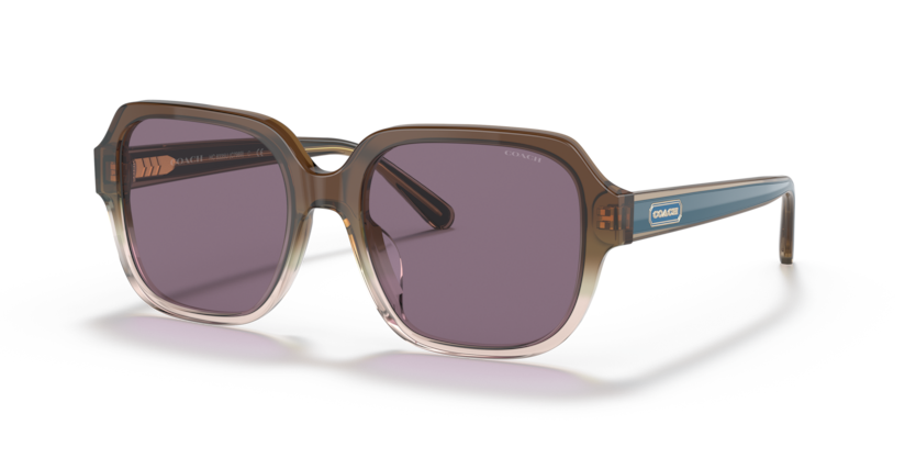 Coach HC8335U C7989 Sunglasses