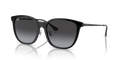 Ray-Ban RB4333D  Sunglasses