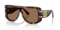 Dolce & Gabbana DG4565  Sunglasses