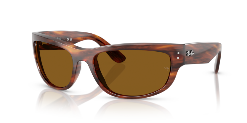 Ray-Ban RBR0504S Clubmaster Reverse Sunglasses