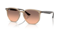 Ray-Ban RB4306F  Sunglasses