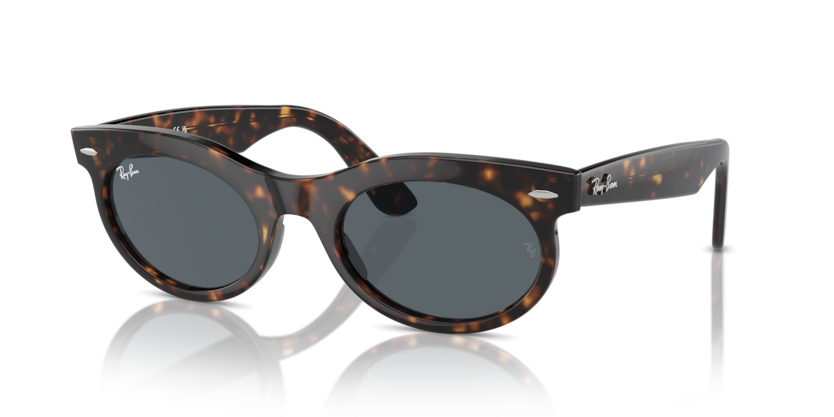 Ray-Ban RB2242 Wayfarer Oval Sunglasses
