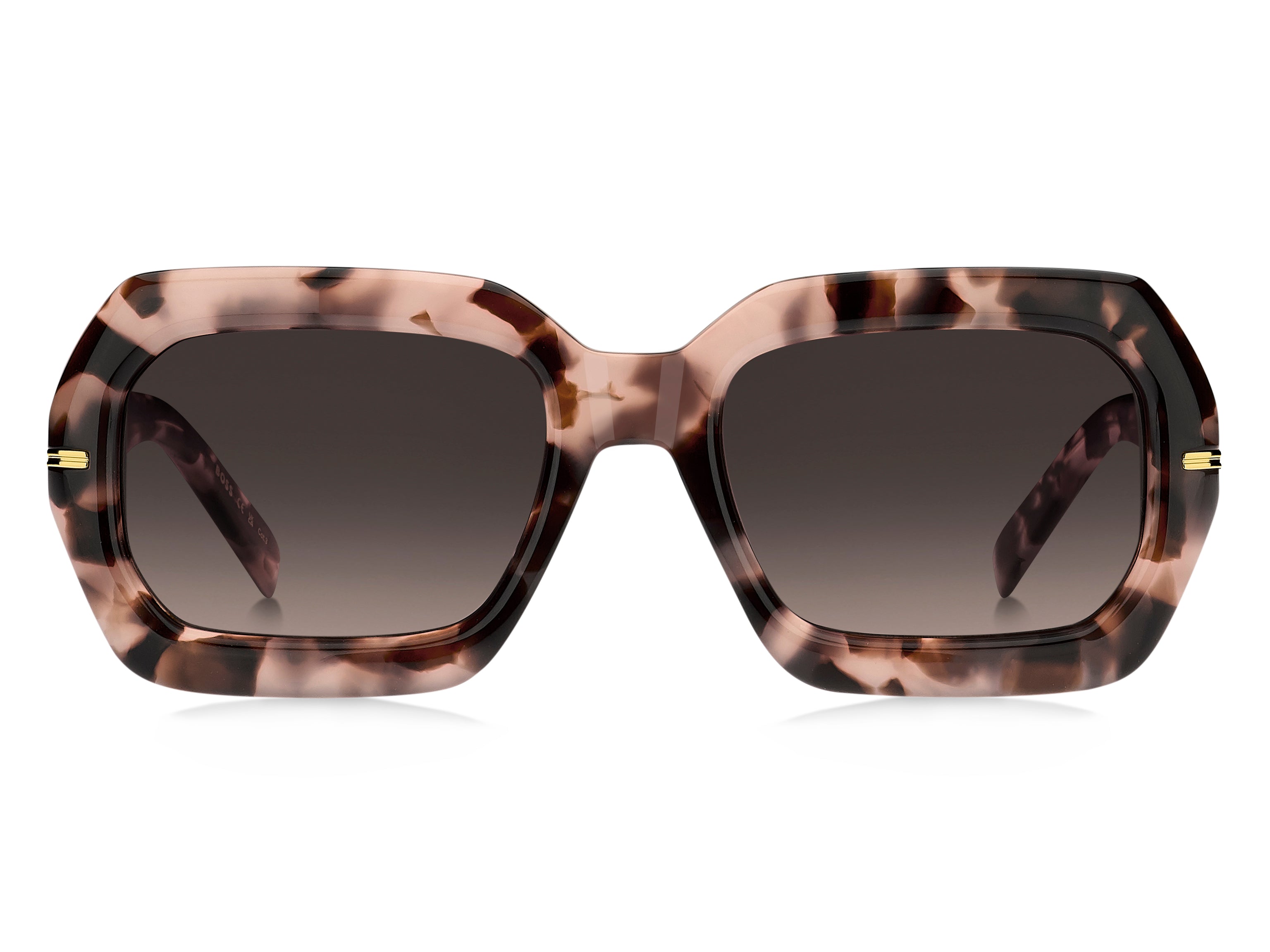 Hugo Boss 1732/g/s Sunglasses