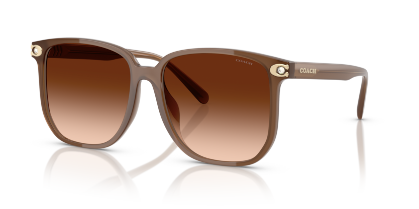 Coach HC8413BD Cw419 Sunglasses