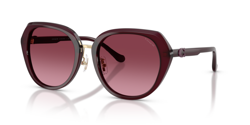 Coach HC8436 Cby93 Sunglasses