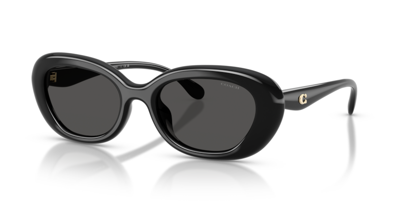 Coach HC8448U Cdp35 Sunglasses