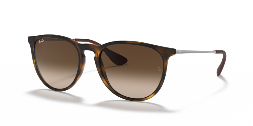 Ray-Ban RB4171F Erika Sunglasses