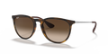 Ray-Ban RB4171F Erika Sunglasses