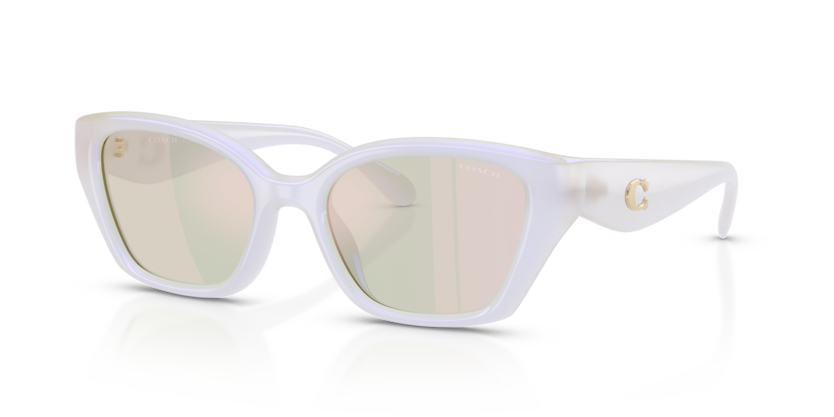 Coach HC8434U Cby91 Sunglasses