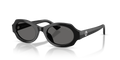 Giorgio Armani AR8245HU  Sunglasses
