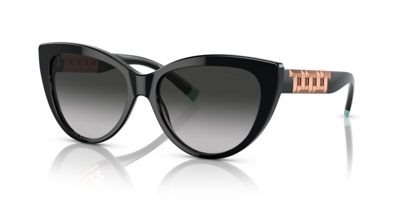 Tiffany TF4196  Sunglasses