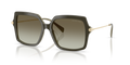 Michael Kors MK2247U Quogue Sunglasses