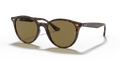 Ray-Ban RB4305  Sunglasses