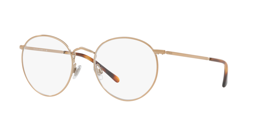 Polo PH1179  Eyeglasses