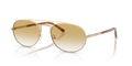 Emporio Armani EA2171  Sunglasses