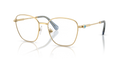 Swarovski SK1019  Eyeglasses