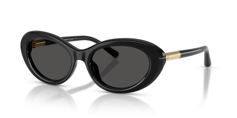 Dolce & Gabbana DG4519  Sunglasses