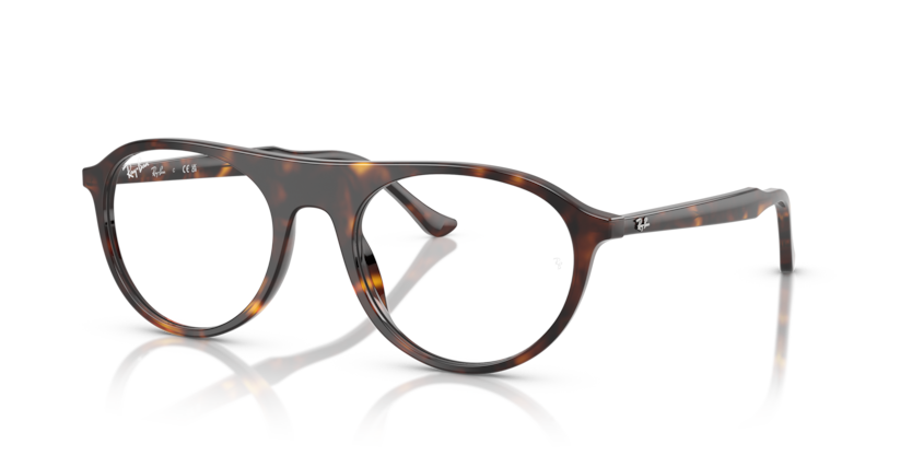 Ray-Ban Vista RX5441  Eyeglasses