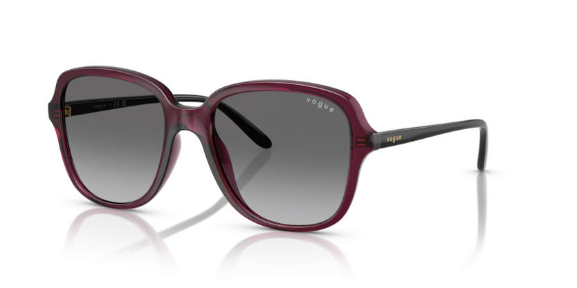 Vogue VO5601S  Sunglasses