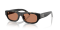 Diesel DL2022U  Sunglasses