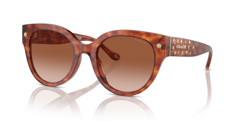 Coach HC8393U Cr612 Sunglasses