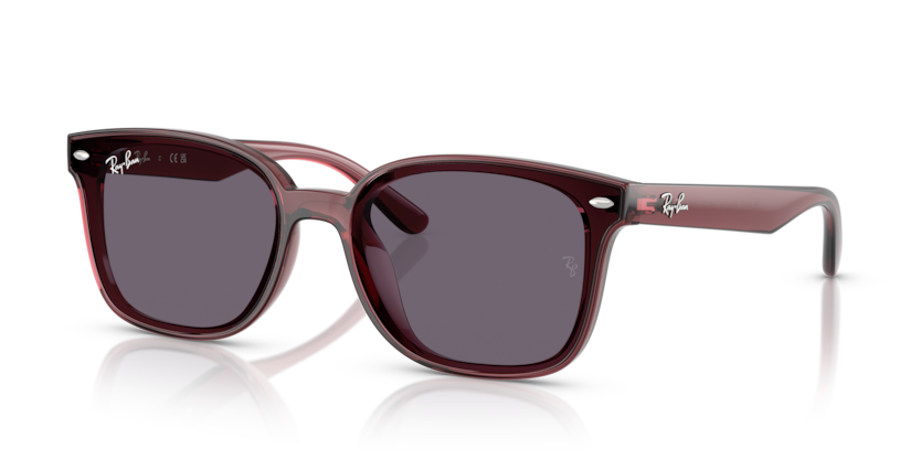 Ray-Ban RB4461D  Sunglasses