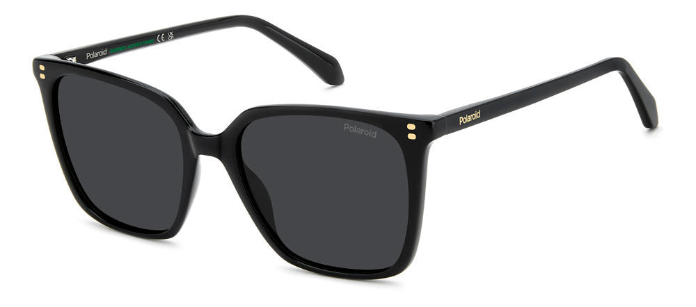 Polaroid PLD 4201/S/X Sunglasses