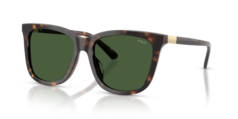 Polo PH4201U  Sunglasses