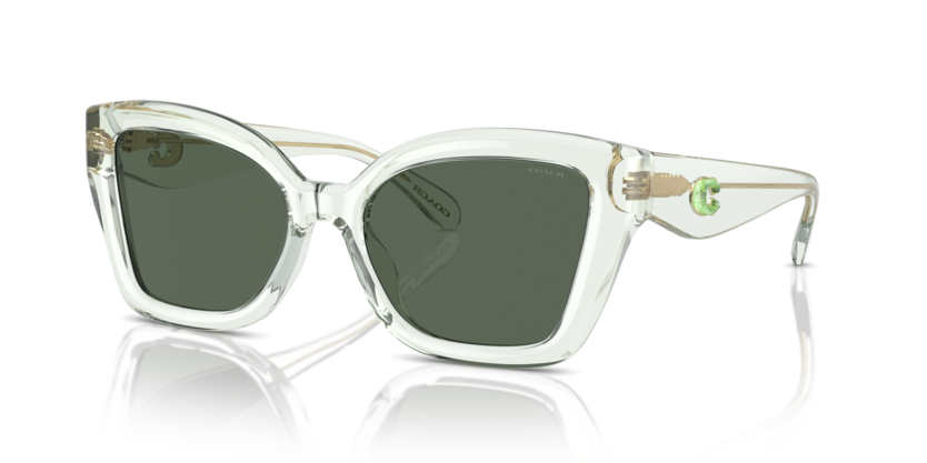 Coach HC8405U Cs544 Sunglasses