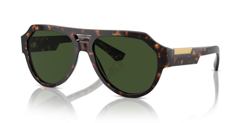 Dolce & Gabbana DG4466F  Sunglasses