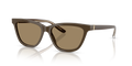 Giorgio Armani AR8221  Sunglasses