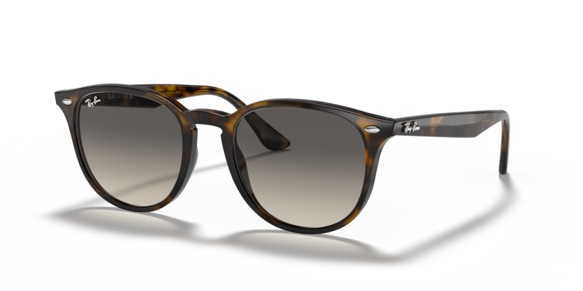 Ray-Ban RB4259  Sunglasses