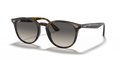 Ray-Ban RB4259  Sunglasses