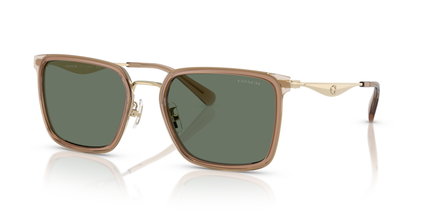 Coach HC7171 Cw226 Sunglasses