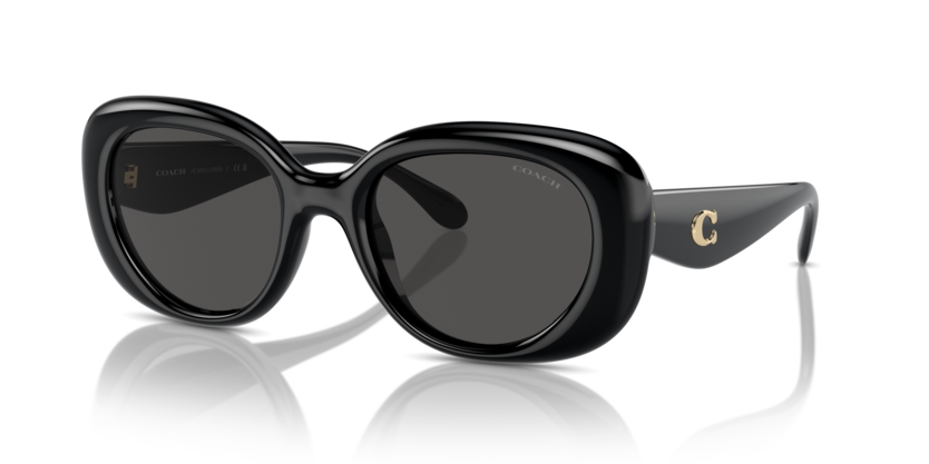 Coach HC8391U Cr609 Sunglasses