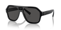 Dolce & Gabbana DG4433  Sunglasses