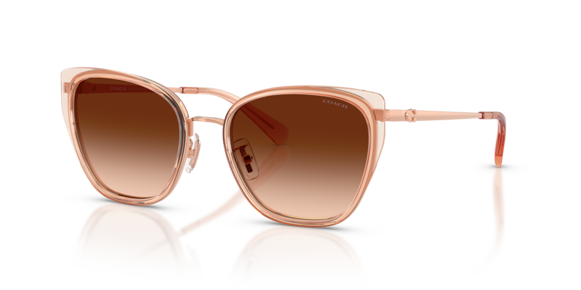 Coach HC7187 Cdp56 Sunglasses