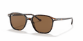 Ray-Ban RB2193 Leonard Sunglasses