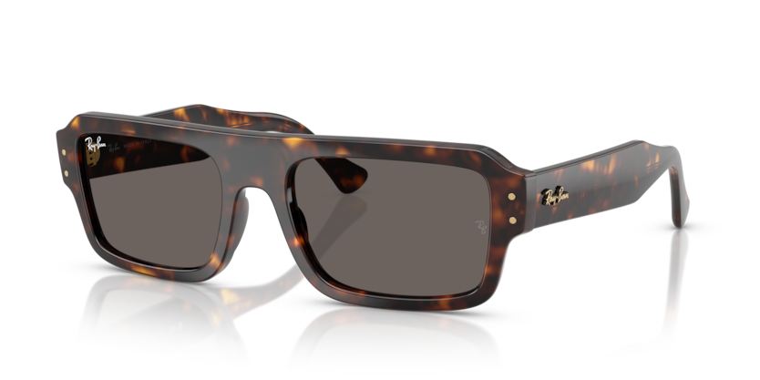 Ray-Ban RB4454 Flacko Sunglasses