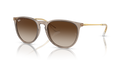 Ray-Ban RB4171 Erika Sunglasses