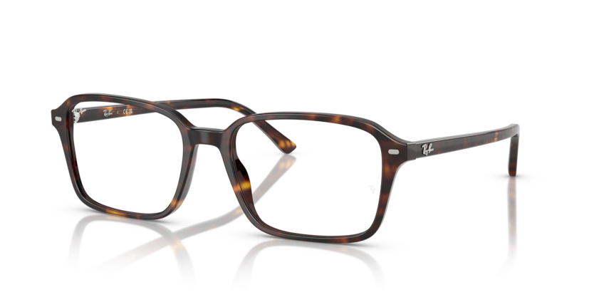 Ray-Ban Vista RX5431 Raimond Eyeglasses