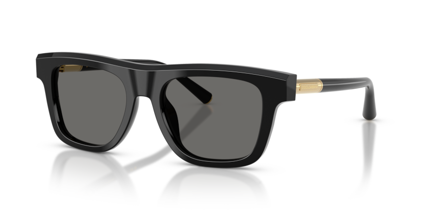 Dolce & Gabbana DG4521  Sunglasses